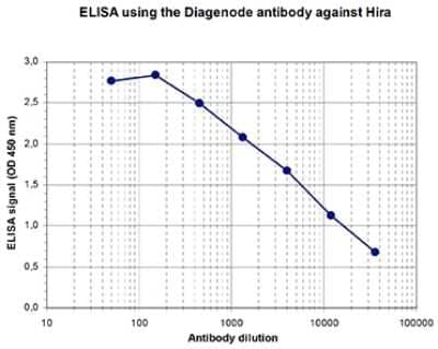 ELISA: HIRA Antibody [NBP3-18665] - Figure 1. Determination of the titer To determine the titer, an ELISA was performed using a serial dilution of the antibody directed against mouse HIRA . The wells were coated with the peptide used for immunisation of the rabbit. By plotting the absorbance against the antibody dilution (Figure 1), the titer of the antibody was estimated to be 1:6,300.